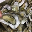 통영바다정원 이미지