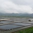 신활농장 이미지