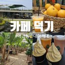 덕기목장 | 익산 가족과 함께 가기 좋은 애견 동반 가능 카페 덕기