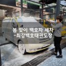 최강 백호 태권도장 이미지