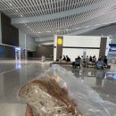 혜림농장 | D+1 3년만에 가는 샌프란시스코