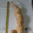 송*근 이미지