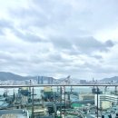 와인드 이미지