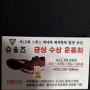 슈올즈아산