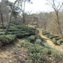 일봉농장 이미지