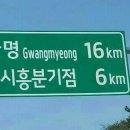 털보지업사