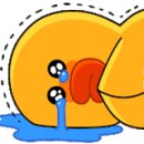 365청솔약국 이미지