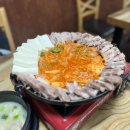 (주)비바라비다 | 콜드플레이 내한공연 후기