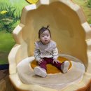 용인시박물관 | <육아> 아이들이 정말 좋아하는 용인 경기도 어린이 박물관 방문후기🏡