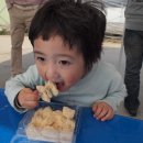 동영농장 이미지