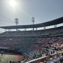 226 구역, 응원지정석 229 구역 시야 및 먹거리 후기! (보영만두, 진미통닭, 핫도그, 전설의 곱창...