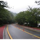 동학사24시편의점 | [공주] 동학사 야영장 2008. 09. 19 ~ 09. 21