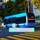 완월동119 이미지