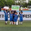 일레븐미디어
