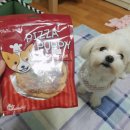 디어마이펫(DEARMYPET) 이미지