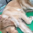 진우빌딩 이미지