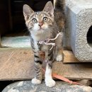 한보가든 이미지