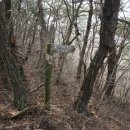 곡성-143 Daum카페