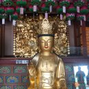 임진모타 | 알고 보니 흔한 중국 도자기.. 46년 만에 국보 지위 잃은 매화 백자