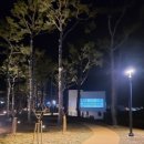 새천년공원길 이미지