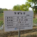 뒤뜰농장 Daum카페