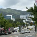 아리랑곱창 - 여수시 서교6길 10-4 | 부산대맛집 한식 추천 아리랑 찜닭 점심 방문 후기