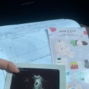 산부인과 : 우리에게 찾아온 축복, 꼼냥이 이야기와 덕천미래로산부인과 후기 (초진시/예약시 방문팁)