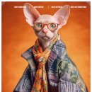 스핑크스의 숲 이미지