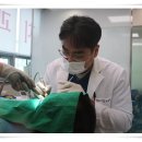 이앤유치과의원 이미지