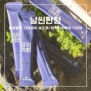 효과좋은 다이어트 보조제 내돈내산 날씬한정 후기
