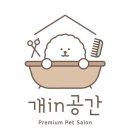 개in공간 이미지