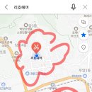 리호헤어