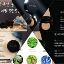 인셀덤 우리사랑