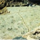 화순 가볼만한곳 서유리 공룡화석지 공룡발자국 화석산지 천연기념물 제487호 이미지