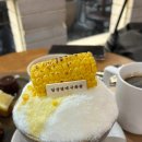 국화식당 - 당진시 | [고속터미널역 파미에스테이션 맛집 카페] 호호 식당 / 담장 옆에 국화꽃 디저트 카페
