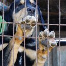 근수농장 이미지