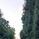 강정동-65 이미지