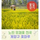 서운체육공원 (계양체육관) 네이버블로그