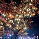 천사카랜드 이미지