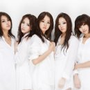 KARA PC 네이버블로그