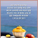 여름일기