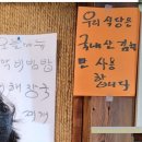 부흥누룽지오리백숙 이미지