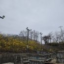 남부벌목 | 용인 벌목업체 주변을 깨끗하게!