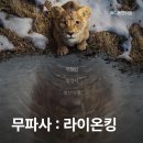 영화 무파사 : 라이온 킹(2024) 전설의 시작을 만나다 영화정보 및 후기