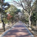 보문호반길 이미지