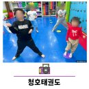 청호태권도장 이미지