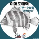 이어도수산
