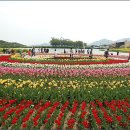 남해-227 이미지