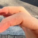 비에이치씨연산점 | 연산동에스테틱 추천 온비에르에서 경험한 프랑스유기농 피히츠전문점 연산동아로마 수기100% 얼굴 포함...