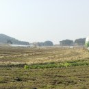 군산시-00027 Daum카페